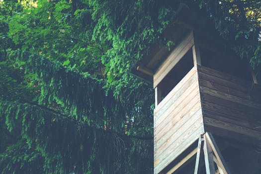 The Coolest Treehouse Stays